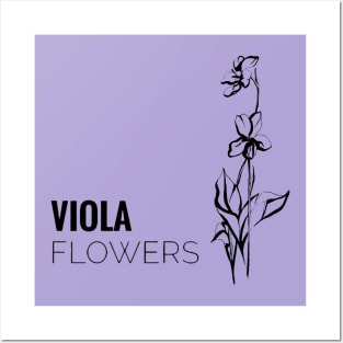 Viola flowers Posters and Art